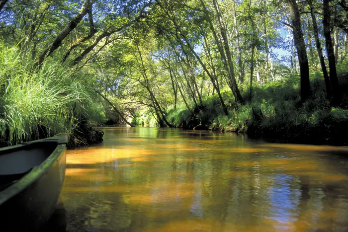 La Leyre