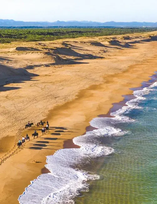 Plage de Biscarrosse