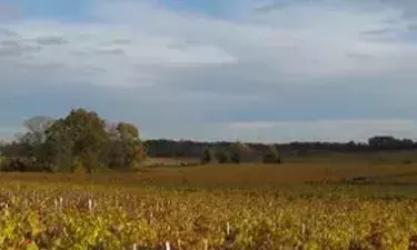 Soulac, Médoc et patrimoine côtier