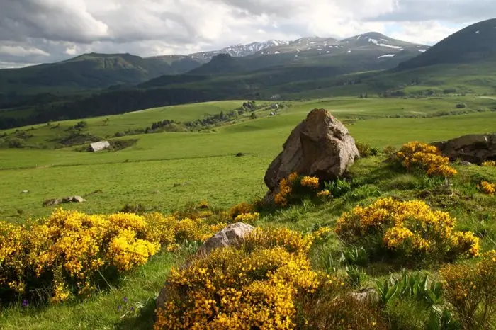 Volcans, villages et patrimoine du Sancy