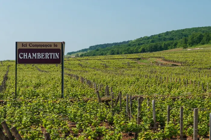 Vignes, réserve et villes bourguignonnes
