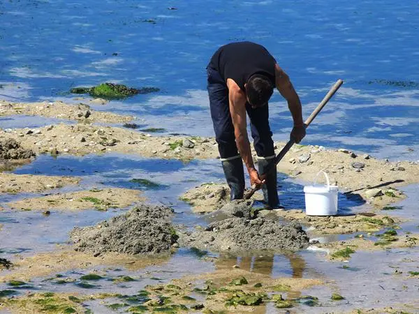Entre presqu'île, patrimoine et villes proches