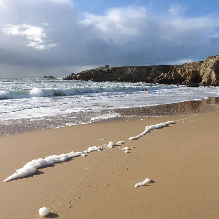 Carnac, ports et grands sites bretons