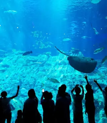 Tourisme aux alentours
