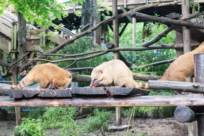 ZooParc de Beauval
