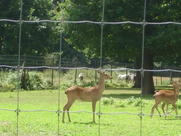 Parc zoologique de la Haute-Touche