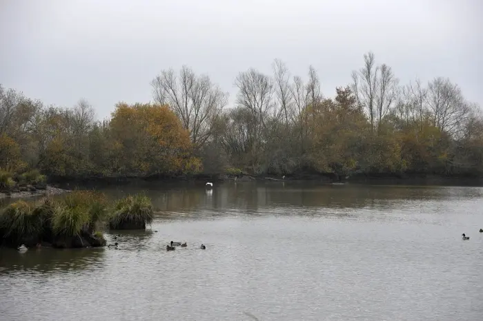Réserve naturelle de Chérine