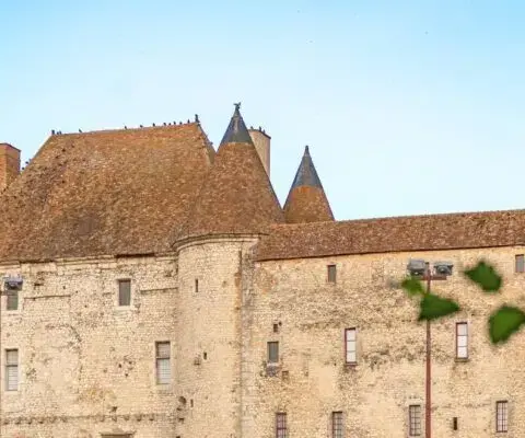 Fontainebleau et ses grands spots nature