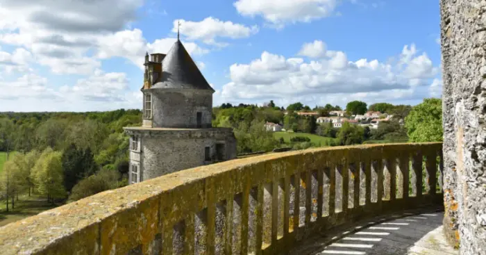 Fontainebleau et ses grands spots nature