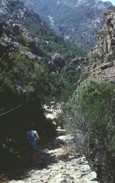 Gorges de la Spelunca