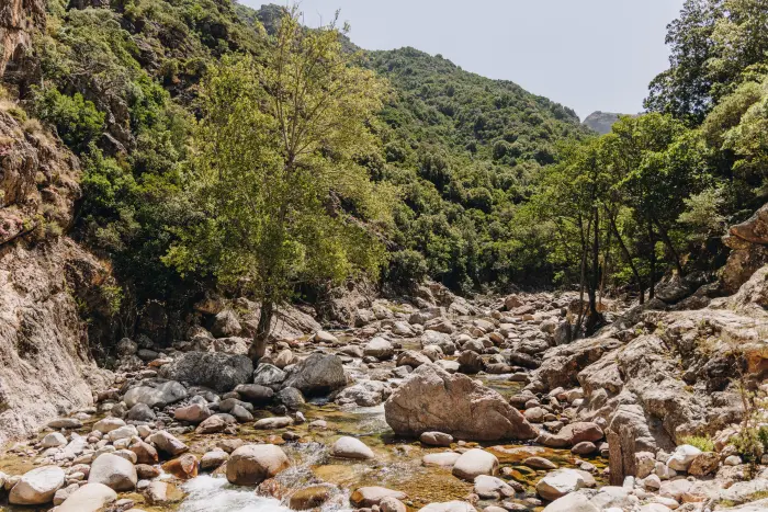 Entre villages corses et grands sites