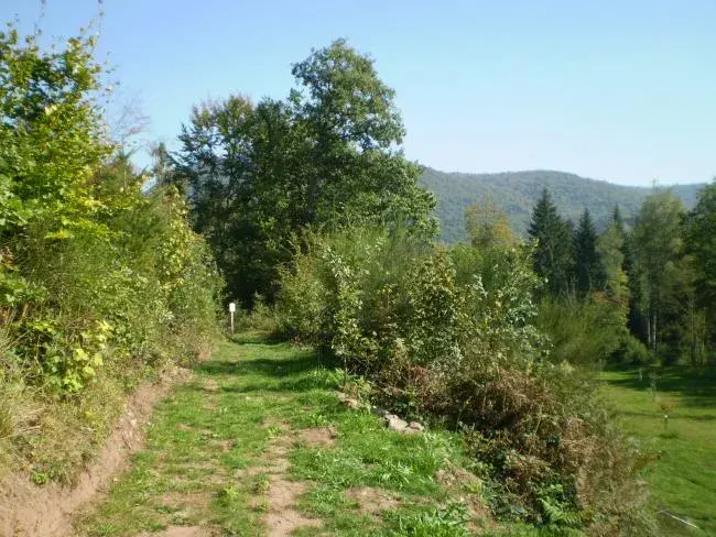 Entre patrimoine local et Vosges du Sud