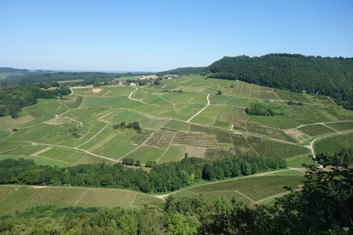 Château-Chalon