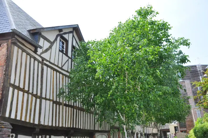 Pont-Audemer