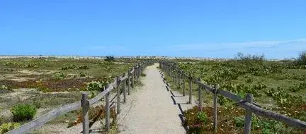 Torreilles