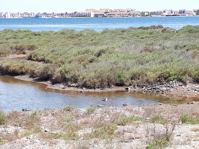 Plage du Barcarès