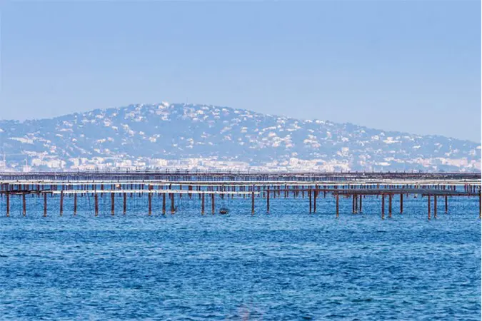 Parc à Huîtres de Leucate