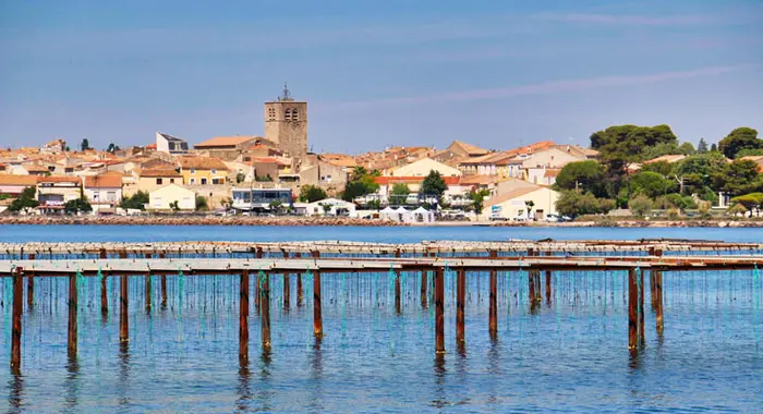 Tourisme aux alentours