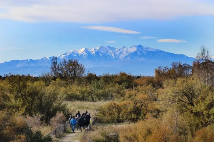 Canigou