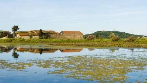 Réserve naturelle du Bagnas