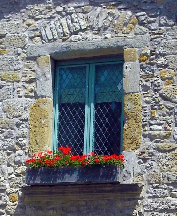Cité de Carcassonne