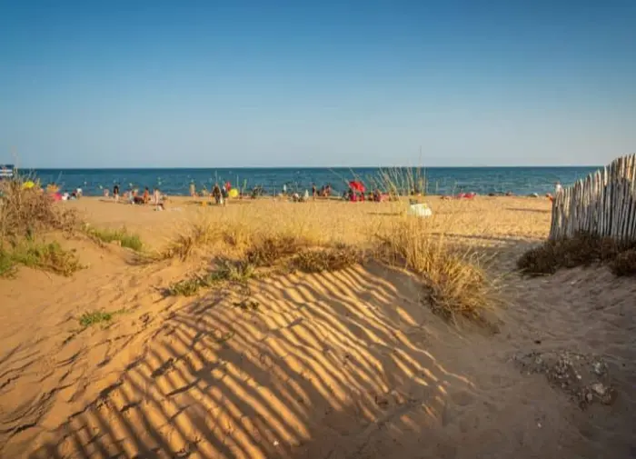 Entre plages, nature et villes voisines