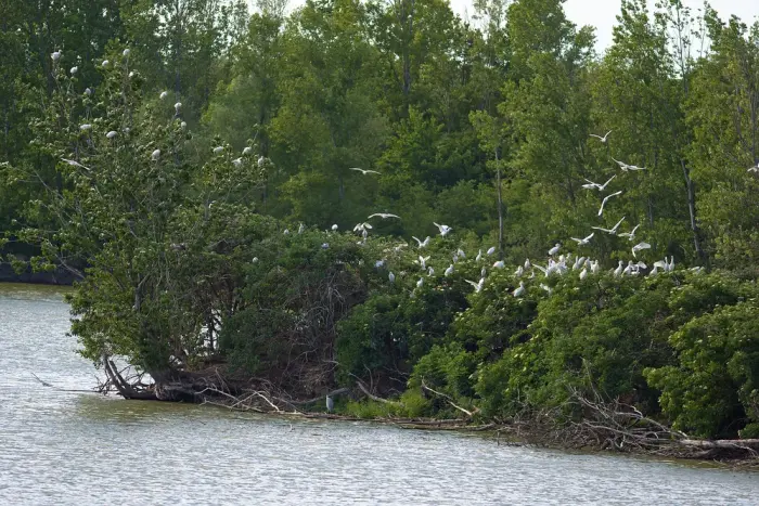 Réserve Naturelle de Cambounet-sur-le-Sor