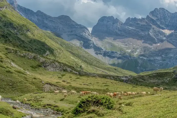 Parc National des Pyrénées
