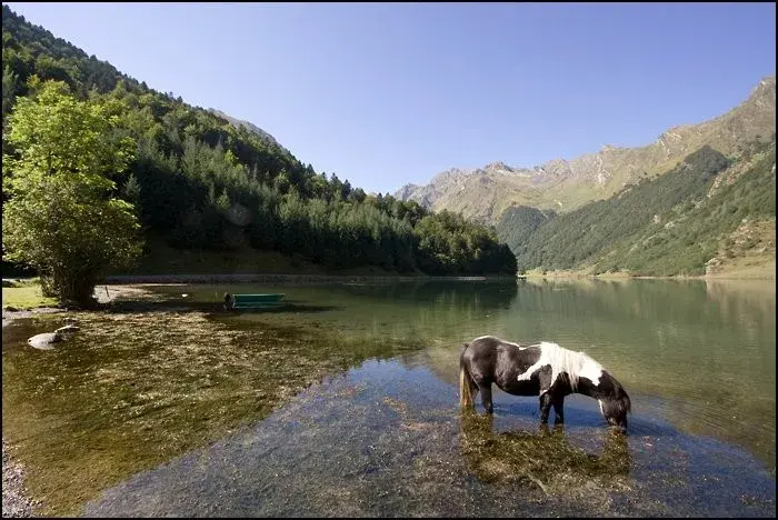 Entre lac, montagne et sites animaliers