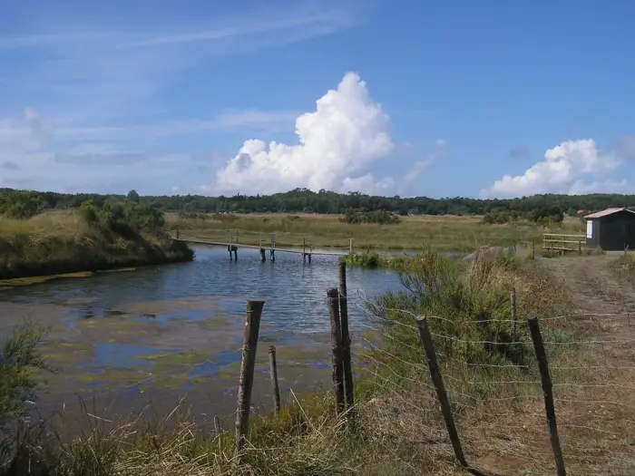 Marais d'Olonne
