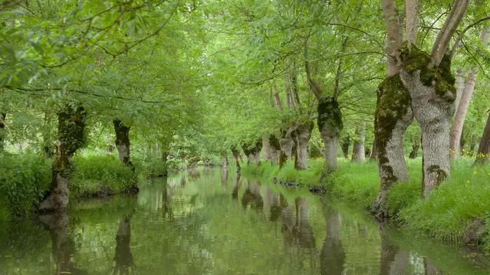 Entre patrimoine vendéen et nature