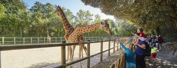 Zoo des Sables