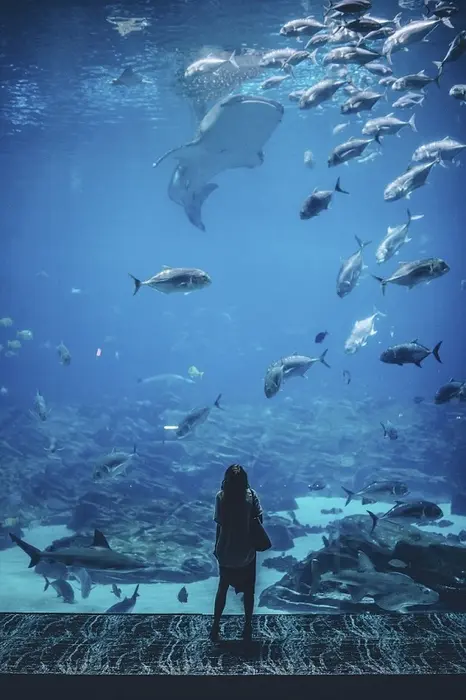 Océarium