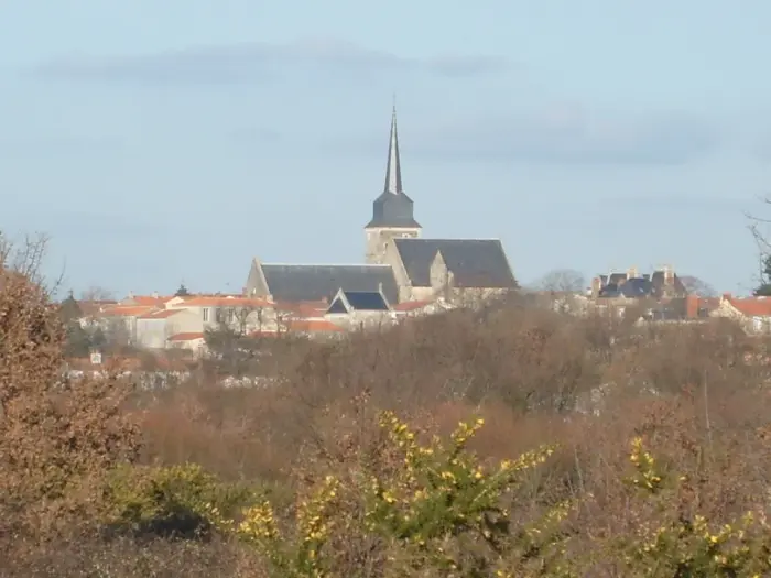 Marais, patrimoine et plages vendéennes