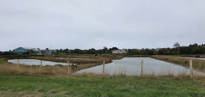 Marais Salants de Saint-Hilaire-de-Riez