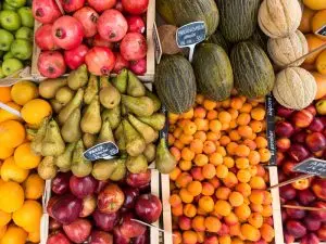 Entre patrimoine vendéen et sorties proches