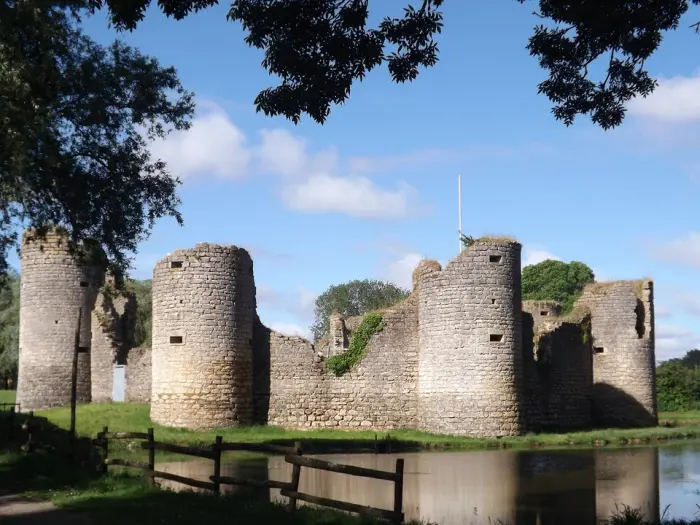 Château de Commequiers