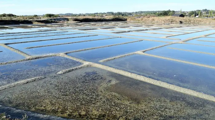Marais Salants de Guérande