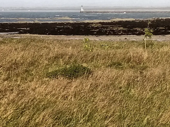 Jetée du Tréhic