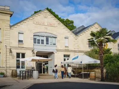 Patrimoine ligérien et sorties autour de Montreuil-Bellay