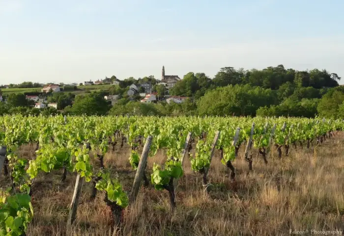 Loire à Vélo et escapades nantaises