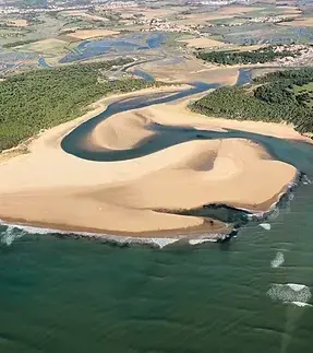 Entre nature vendéenne et visites variées
