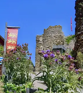 Entre nature vendéenne et visites variées