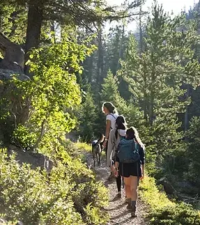 Entre nature vendéenne et visites variées