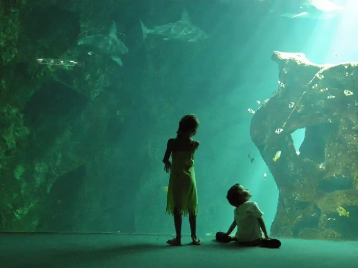 Aquarium de La Rochelle