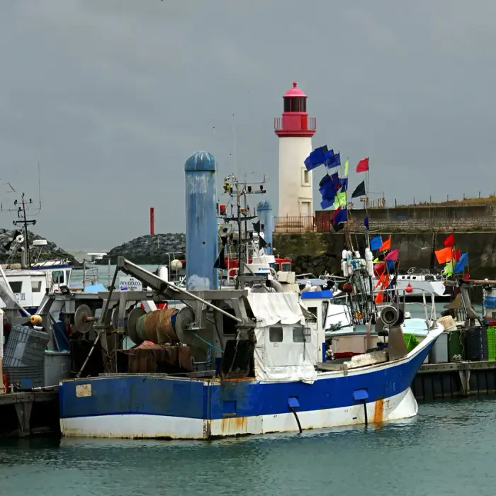 Les Cabanes de la Cotinière