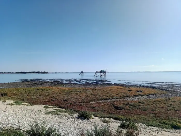 Île Madame