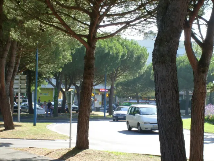 La Palmyre