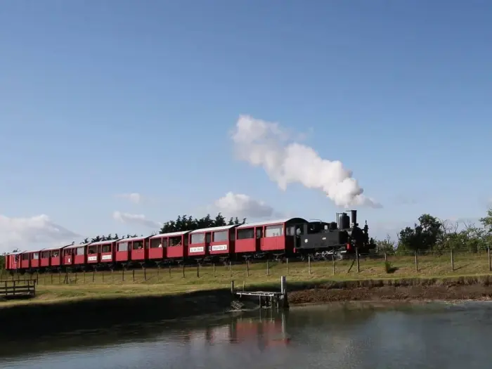 Train des mouettes