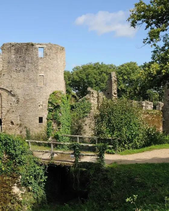 Château de Ranrouët